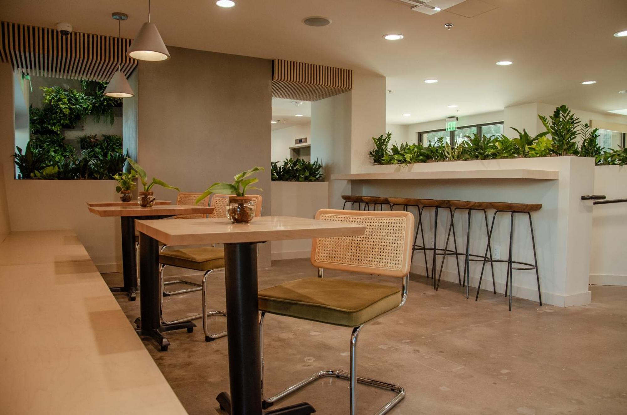 Brut Hotel ทัลซา ภายนอก รูปภาพ